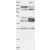 Western Blot: ACTRT1 Antibody [NBP1-89184] Lane 1: Marker [kDa] 250, 130, 95, 72, 55, 36, 28, 17, 10 | Lane 2: Negative control (vector only transfected HEK293T lysate) | Lane 3: Over-expression Lysate (Co-expressed with a C-terminal myc-DDK tag (~3.1 kDa) in mammalian HEK293T cells.